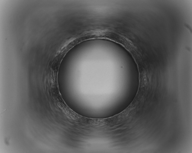 X0000101661158200807241411