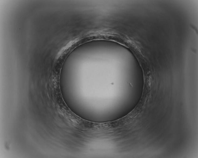 X0000101661159200807241411