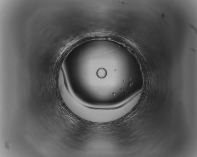 X0000101661160200807241411