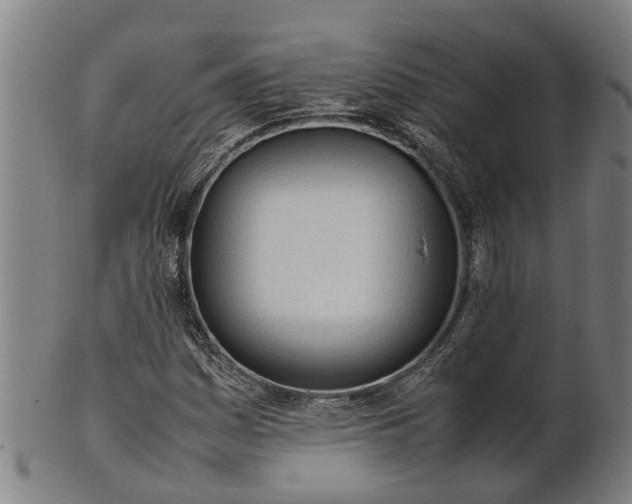 X0000101661161200807241411