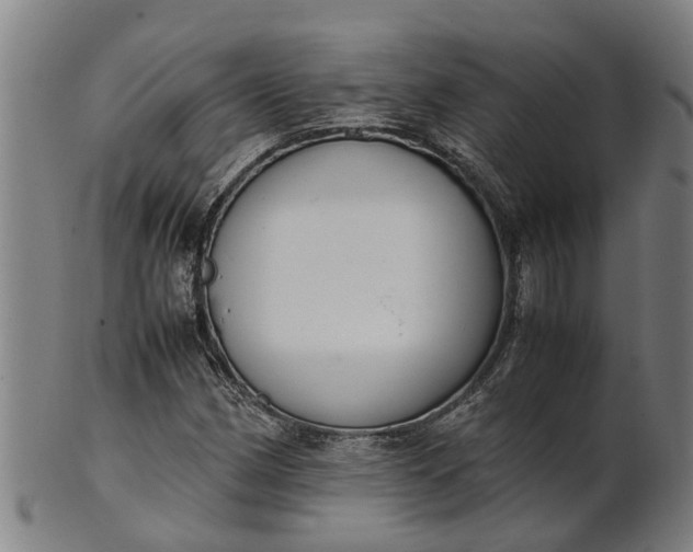 X0000101661162200807241411