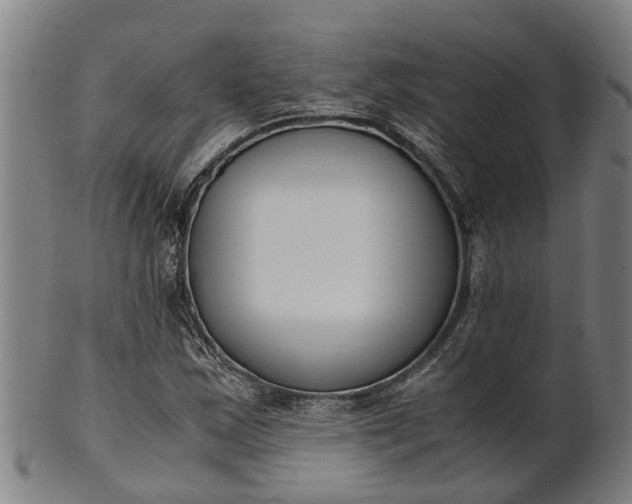 X0000101661163200807241411