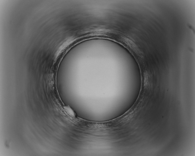 X0000101661164200807241411