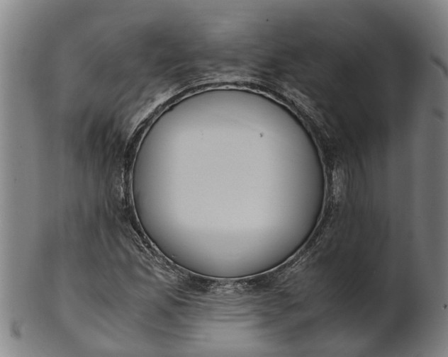 X0000101661165200807241411