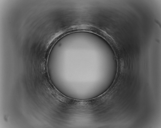 X0000101661166200807241411