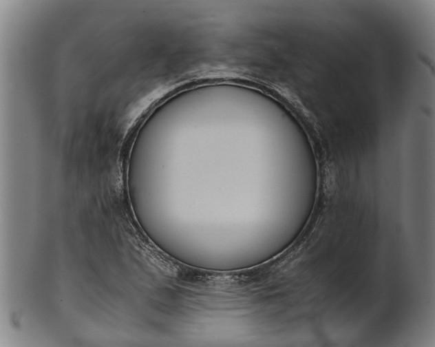 X0000101661167200807241411