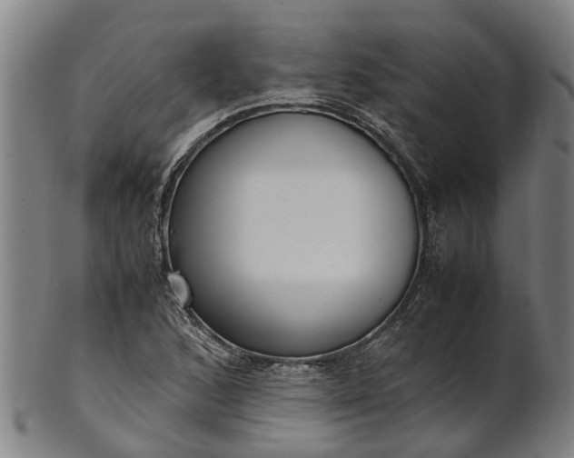 X0000101661168200807241411