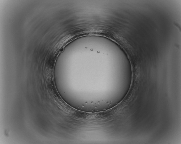 X0000101661169200807241411