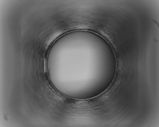 X0000101661171200807241411