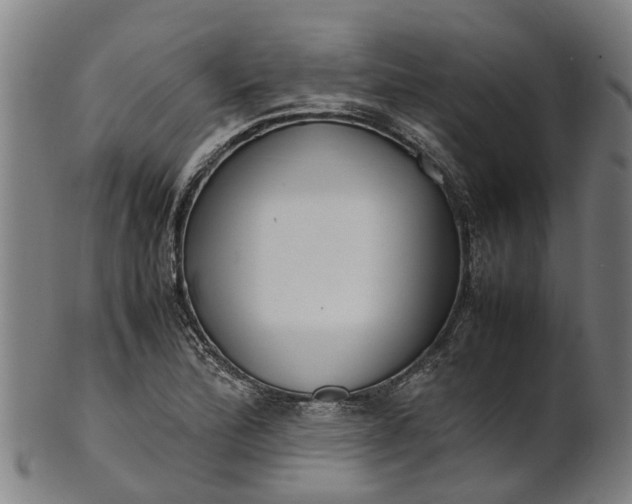 X0000101661172200807241411