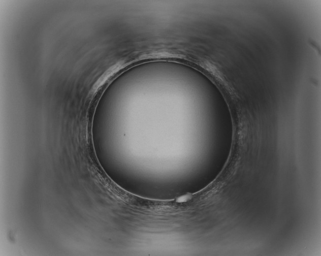 X0000101661173200807241411