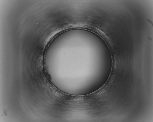 X0000101661174200807241411