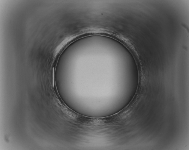 X0000101661175200807241411