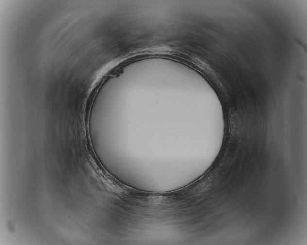 X0000101661176200807241411