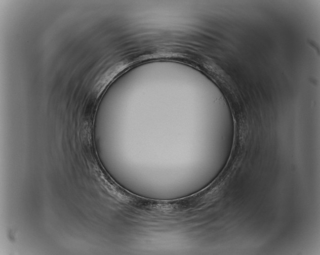 X0000101661177200807241411