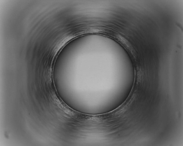 X0000101661178200807241411