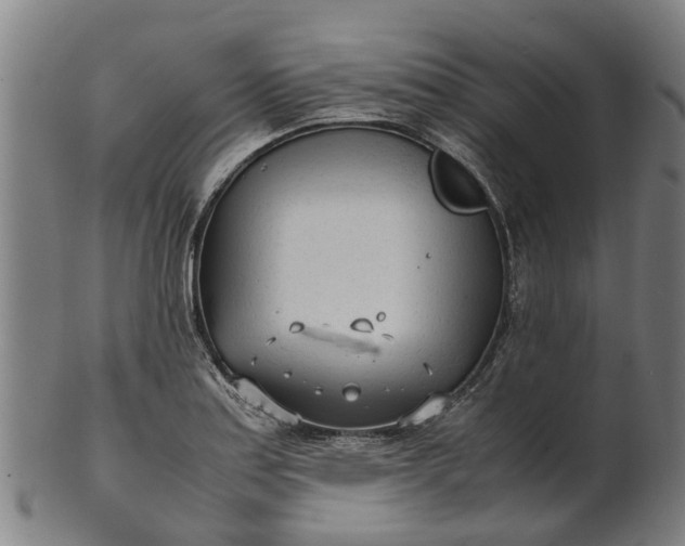 X0000101661179200807241411