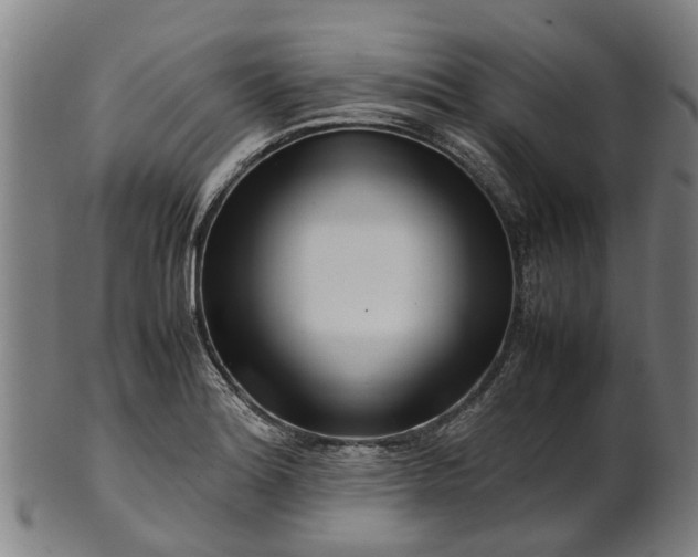 X0000101661180200807241411