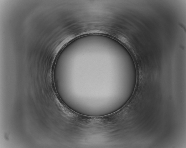 X0000101661181200807241411