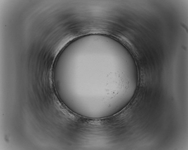 X0000101661182200807241411