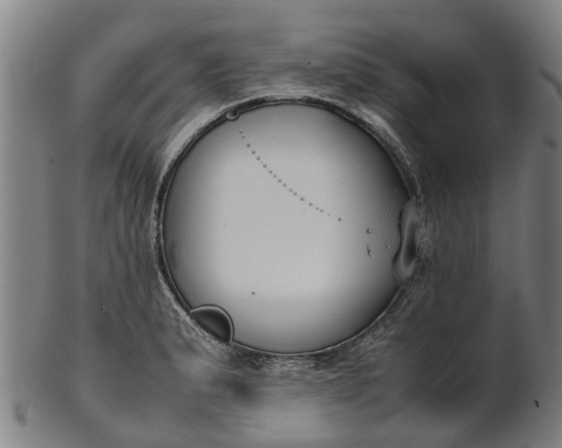 X0000101661183200807241411