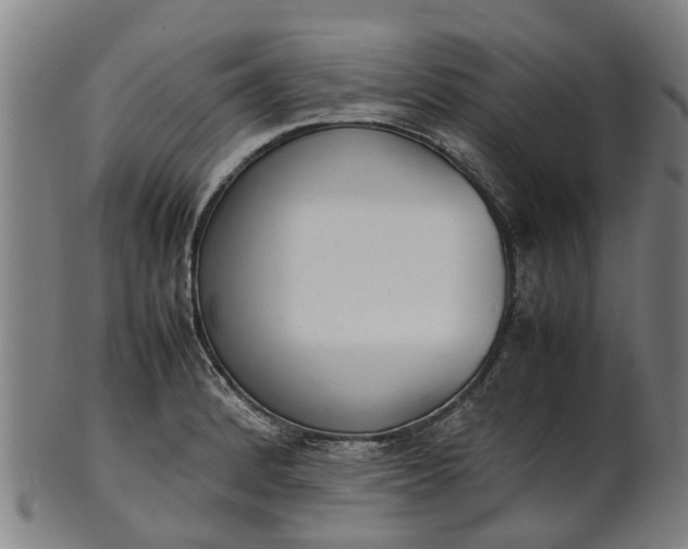 X0000101661184200807241411