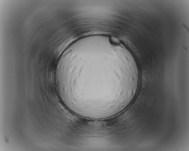 X0000101661185200807241411