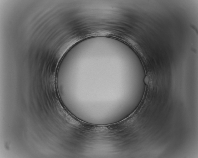 X0000101661186200807241411