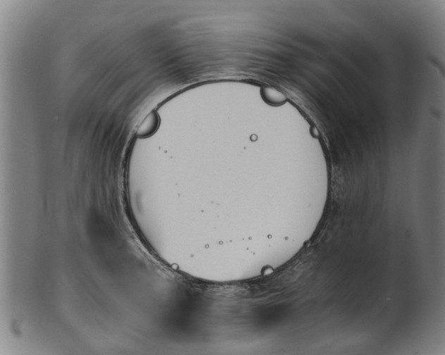 X0000101661187200807241411