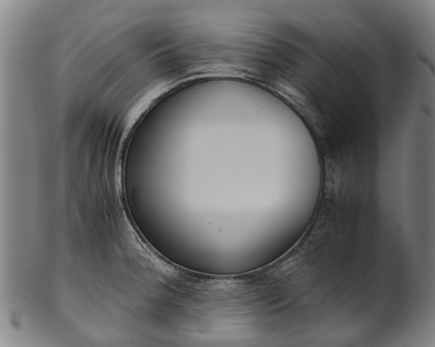 X0000101661188200807241411