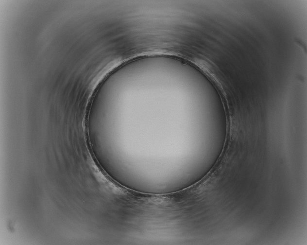 X0000101661189200807241411