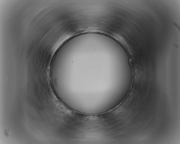 X0000101661190200807241411