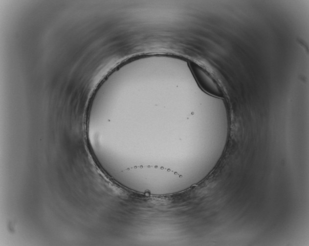 X0000101661191200807241411