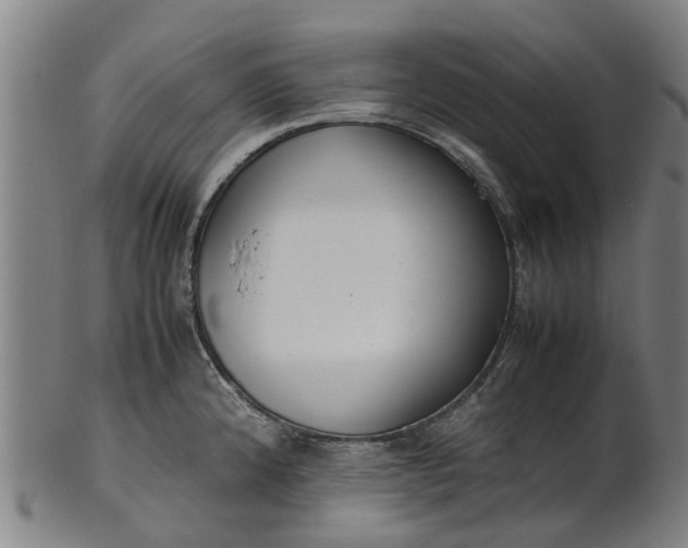 X0000101661192200807241411