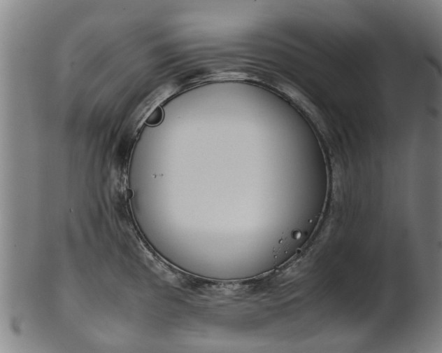 X0000101661193200807241411