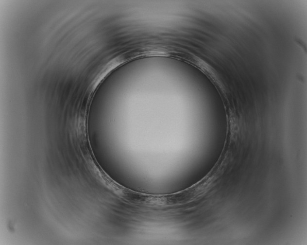 X0000101661194200807241411