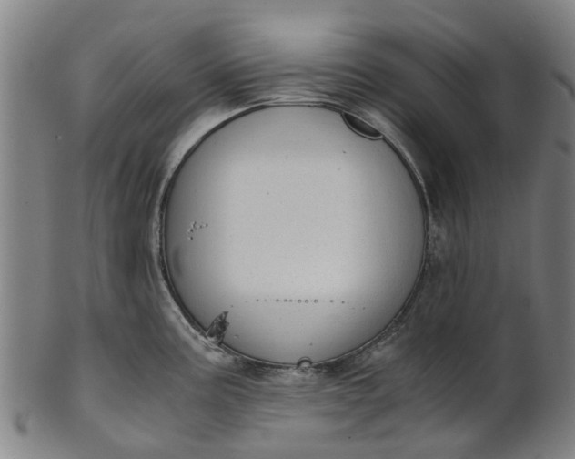 X0000101661195200807241411