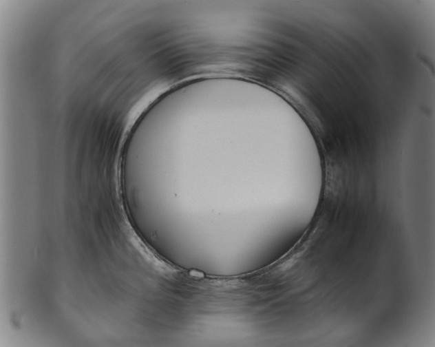 X0000101661196200807241411