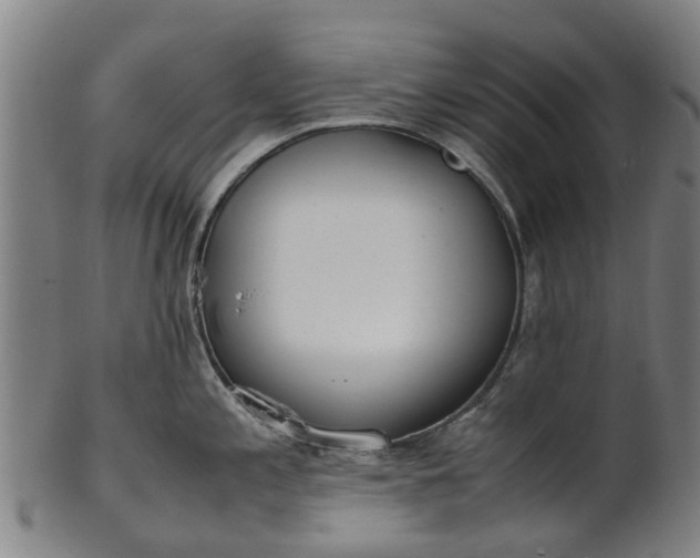 X0000101661197200807241411