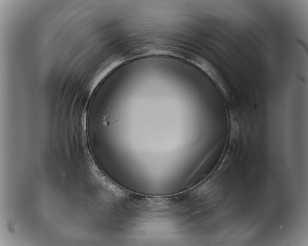 X0000101661198200807241411