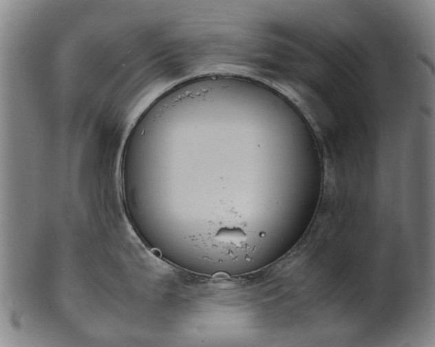 X0000101661199200807241411