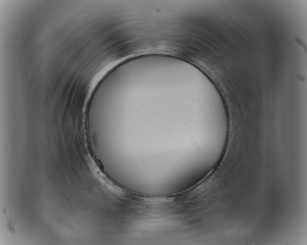 X0000101661200200807241411