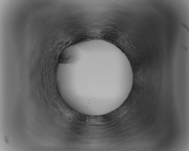 X0000101661201200807241410