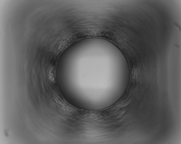 X0000101661202200807241410