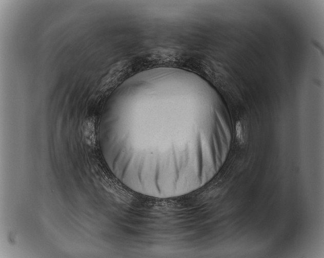 X0000101661203200807241410