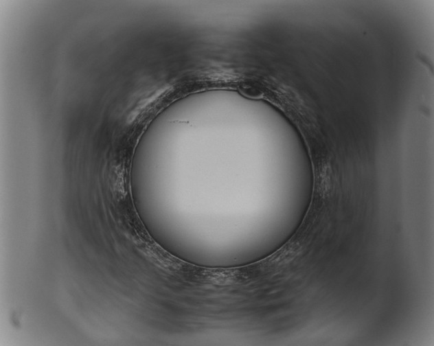 X0000101661205200807241410