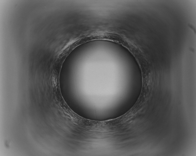 X0000101661206200807241410