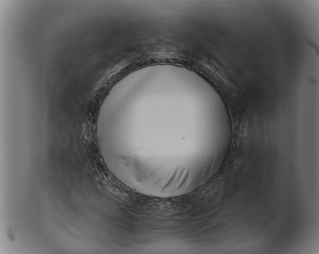 X0000101661207200807241410