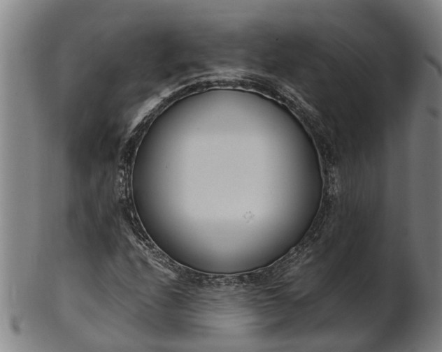 X0000101661208200807241410