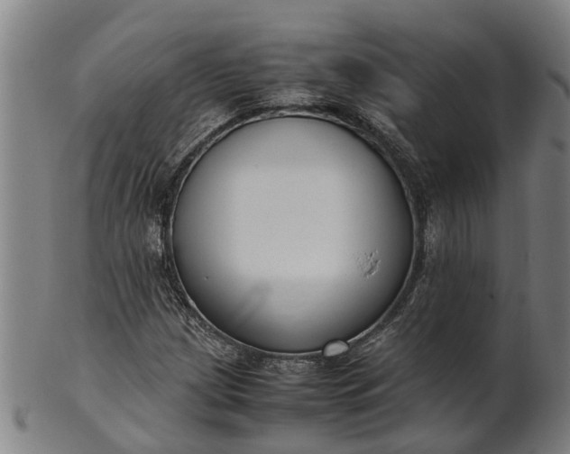 X0000101661209200807241410